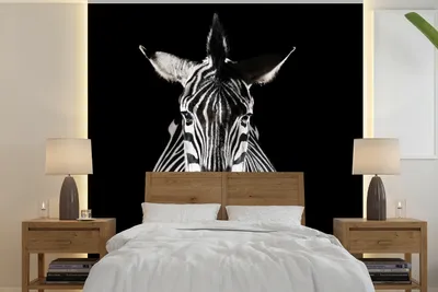 Produktbild von MuchoWow® Fototapete für Wohnzimmer oder Schlafzimmer Wandtapete Vinyl Motivtapete Zebra auf schwarzem Hintergrund - 240x240 cm - Schlafzimmer-Tapete