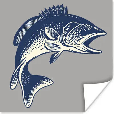 Produktbild von MuchoWow® Poster Illustration eines Fisches auf grauem Hintergrund 75x75 cm - Wand Dekoration