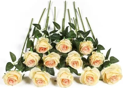 Imagen del producto de Flores artificiales de rosa, 12 unidades, color champán, 50 cm, para decoración