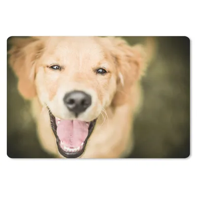 Produktbild von MuchoWow® Mauspad Mousepad Das Glitzern in den Augen dieses Labrador Retrievers 27x18 cm - Mousepads - Maus Mat - Pad - Mausunterlage - Büroartikel - Desk Matten