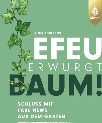 Produktbild von Efeu erwürgt Baum