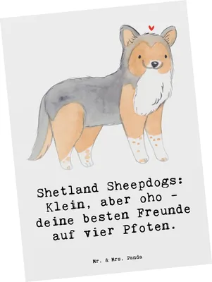 Produktbild von Mr. & Mrs. Panda Postkarte Shetland Sheepdog Freunde - Weiß - Geschenk, kunstkarte, bildkarte, treuer Begleiter, Hunderasse, Hunderassen Beschreibung, Postkarten