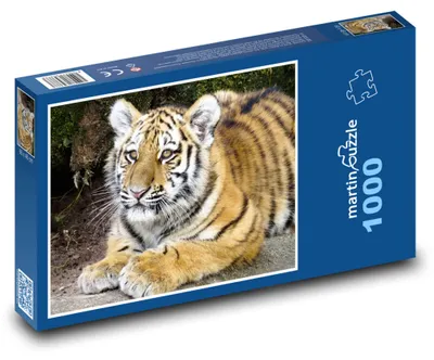 Obrázok produktu pre Puzzle 1000 Tiger - mláďa v džungli - martinpuzzle