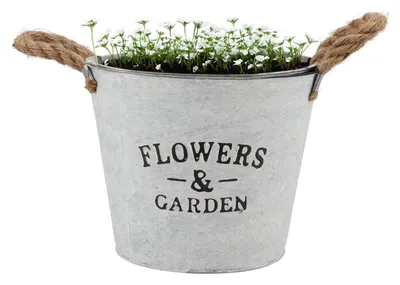 Produktbild von Pflanztopf/Blumenkubel Jardin - rund - Zink - weis - D22 x H16 cm
