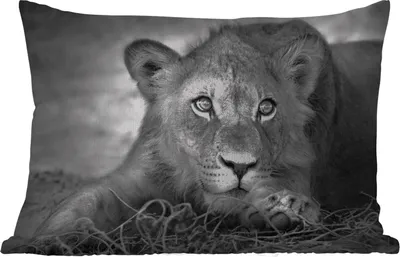Produktbild von MuchoWow® Outdoor Kissen - Wildtiere - Löwe - Natur - Schwarz - Weiß - 50x30 cm - Wetterfest - Lounge Kissen - Sofa kissen - Wohnzimmer Dekoration