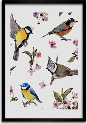 Produktbild von Bild - Bilderrahmen - 50 cm x 70 cm - MDF - Rahmen - Wandkunst Vögel und Blumen