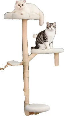 Image de Arbre à chat, centre d'activités à plusieurs niveaux, griffoir, blanc