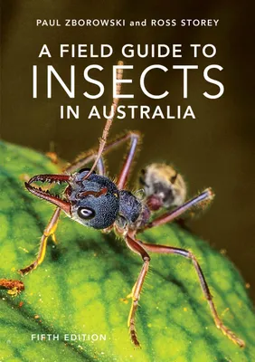 Produktbild von Storey, R: Field Guide to Insects of Australia