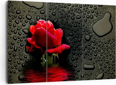 Produktbild von Bild auf Leinwand - Leinwandbild - Blume rote rose wasser tau - 165x110cm - Wand Bild - Wanddeko - Leinwanddruck - Bilder - Kunstdruck - Wanddekoration - Leinwand bilder - Wandkunst - CE165x110-2367