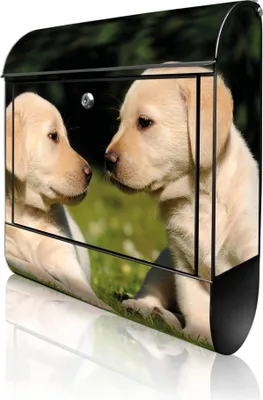Produktbild von banjado Design Briefkasten Stahl schwarz mit Zeitungsfach pulverbeschichtet "Labrador" 38x46x12,5cm & 2 Schlüssel - Postkasten A4 Einwurf inkl. Montagematerial [BK 10200]