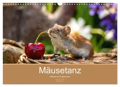 Produktbild von Mäusetanz (Wandkalender 2027 DIN A3 quer), CALVENDO Monatskalender