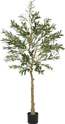 Image de HOMCOM Olivier artificiel 150 cm plante artificielle intérieur arbre artificiel en pot avec des feuilles et fruits réalistes, fausse plante vert décoration pour maison, bureau, salon, chambre