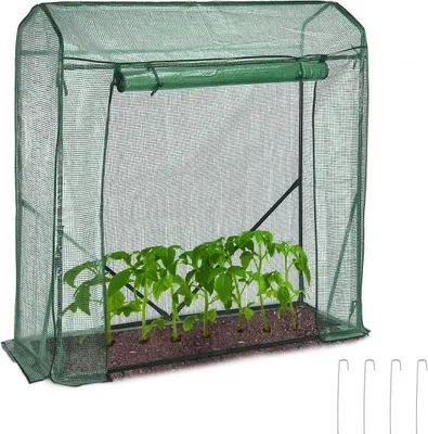 Image de Déco tortue en fonte