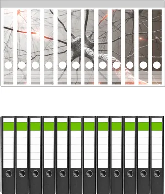 Produktbild von Wallario 12 Stück schmale Ordner inkl. Klebeetiketten mit Motive Menschliche Nervenzelle -  Set mit Rückenschildern / Ordnerrücken Stickern