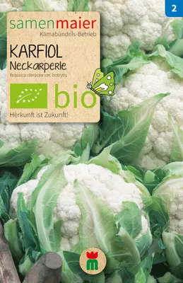 Artikelbild 1 von 'BIO Karfiol Neckarperle' aus der Kategorie Kohlsamen