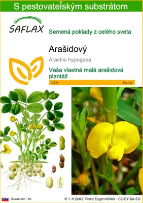 Obrázok produktu pre SAFLAX - Arašidový - Arachis hypogaea - 8 Semená - S pestovateľským substrátom bez klíčkov