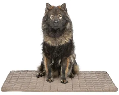 Produktbild von TRIXIE Liegematte Caliente - braun - 100 × 70 cm