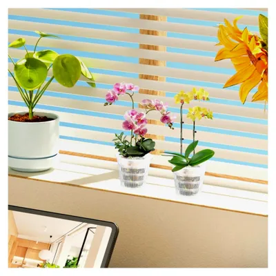 Produktbild von Orchideentöpfe mit Löchern, 12 Stück, 14 cm und 10,9 cm, transparente Blumentöpfe aus Kunststoff für drinnen und draußen