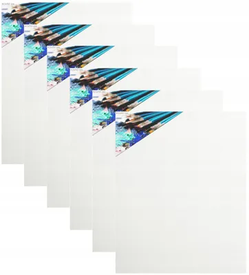 Produktbild von PE Leinwand 40x50 cm Malfläche 6er Set
