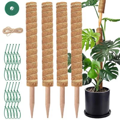 Image de 4 supports d'escalade pour plantes Monstera, avec piquets de fixation