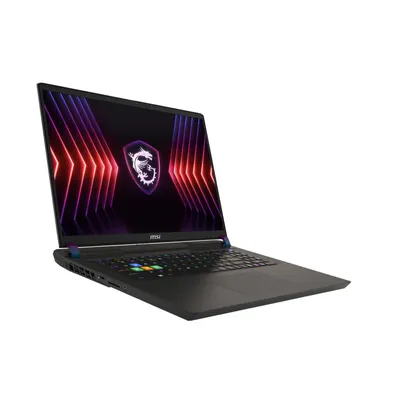 Produktbild von Vector 17 HX A13VIG-673 (RTX 4090, GDDR6 16GB)