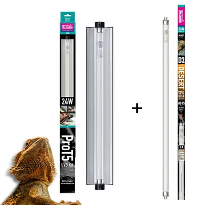 Obrázok produktu pre Arcadia Pro T5 UVB-Kit + T5 24 W žiarivka 12 % UVB + 30 % UVA DESERT D3+ (55 cm)