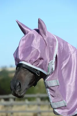 Produktbild von BUCAS Freedom Fly Mask mauve, Buc17_Gr.:L