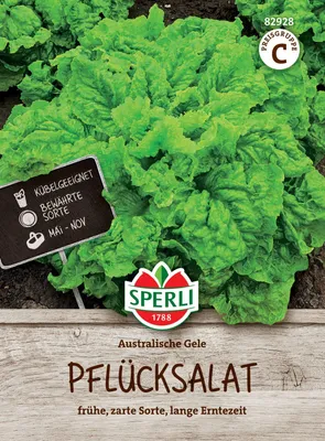 Produktbild von SPERLI Salatsamen Australische Gele Lactuca sativa 4-5 lfd. Meter