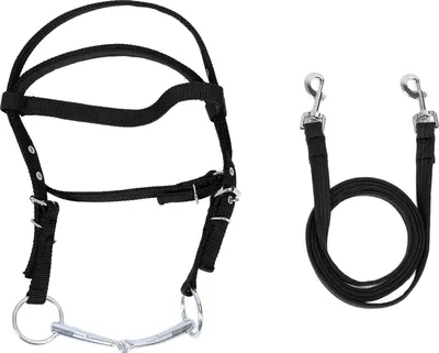 Imagen del producto de Arnés para caballos, riendas, nylon, diseño elegante, pieza frontal ajustable, artículos para equitación, color , talla S (para ponis con una altura máxima de 1,3 metros a la cruz)