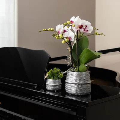 Zdjęcie produktu dla Doniczka z rowkami - Zlota - Ø6cm - Mala ceramiczna doniczka dekoracyjna z
