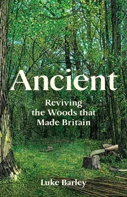 Produktbild von Ancient