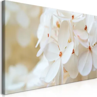 Produktbild von Wandbild Mega XXXL Blumen 250x125 cm Einteiliger XXL-Format Kunstdruck zur Selbstmontage Leinwandbilder moderne Bilder DIY Wanddekoration Wohnung Deko weiße Hortensie Natur b-B-0510-ak-e