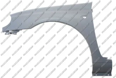 Produktbild von PRASCO RN3203004 Kotflügel Vorne Links für RENAULT CLIO II (BB0/1/2, CB0/1/2) CLIO II Kasten (SB0/1/2)