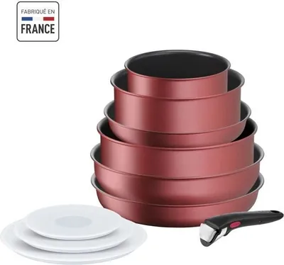 Obrázek produktu pro Tefal L3989402 Set de vase Ingenio Daily Chef, 10 piese