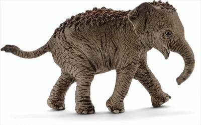 Produktbild von Schleich Asiatisches Elefantenbaby