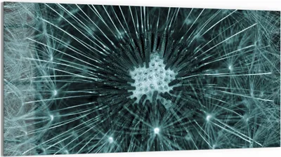 Produktbild von DEQORI Glasbild Echtglas 100x50 cm 'Mystische Blüte' Wandbild Bild modern Deko