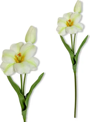 Produktbild von Zweig - Schaumtulpe weiß und grün 53 cm
