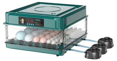 Image de Incubateur automatique pour œufs, avec contrôle intelligent de la température, capacité de 48 œufs, idéal pour un usage domestique