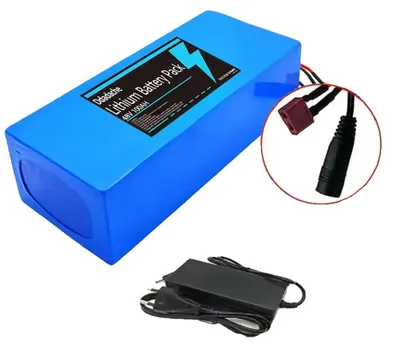 Image de Batterie lithium-ion, capacité de 100 Ah, tension de 48 V, chargeur T-DC