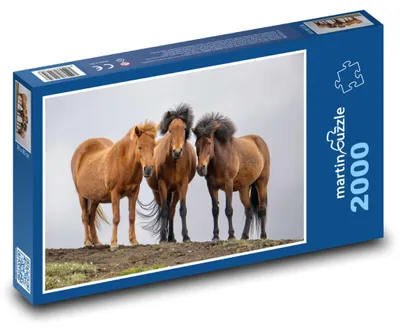 Obrázok produktu pre martinpuzzle - Puzzle 2000 - Islandský kôn