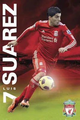 Immagine prodotto di Calcio - Poster - Liverpool Suarez 11/12