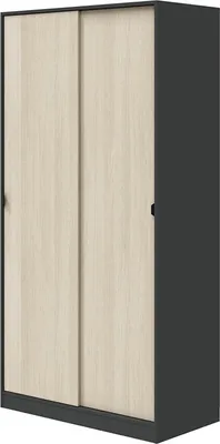 Immagine prodotto di Dmora Guardaroba 2 Ante Bucksport 50x200h cm Grigio Antracite, Appendiabiti 2 Ante
