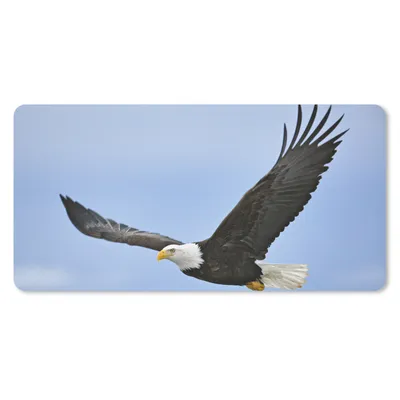 Produktbild von MuchoWow® Schreibtischunterlage Ein fliegender Weißkopfseeadler 80x40 cm - XXL Mauspad - Gaming Mauspad
