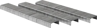 Produktbild von PARKSIDE® Tackerklammern zu Tackerset (Tackerklammern 4mm)