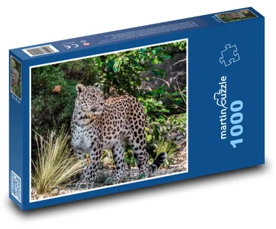 Produktbild von Puzzle 1000 Leopard in der Wildnis - martinpuzzle