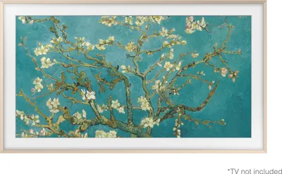 Productafbeelding van Samsung VG-SCFC50SGMXC, Behuizing, Zandkleur, 127 cm (50 inch), 127 cm (50 inch), Samsung, The Frame LS03C serie