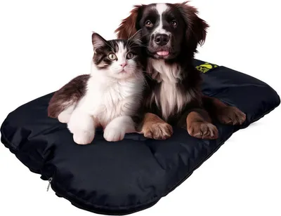 Produktbild von EVE Textile Hundebett Katzenbett 85x70x5 cm  Schwarz Hundekorb Katzenkorb Hundekissen Katzenkissen Hundesofa Katzensofa Bett für Haustiere Hund Katz