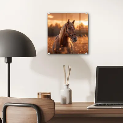 Produktbild von MuchoWow Glasbilder - Bilder auf Wandbild - Foto auf Glas Pferd - Natur - Tier - Braun - Tierporträt 20x20 cm Wanddekoration aus Glas - Acrylglasbild - Acrylbilder - Bilder von Glas - Moderne