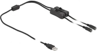 Zdjęcie produktu dla DeLOCK Kabel USB Typ-A męski do 2 x DC 5,5 x 2,1 mm żeński z przełącznikiem, 1 m, 1 m, USB A