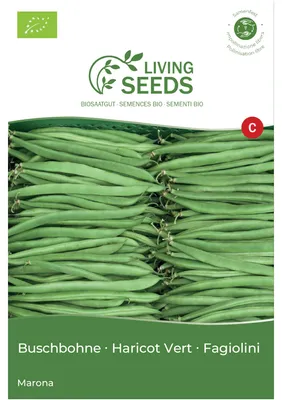 Produktbild von Buschbohne grün Marona 13.6g Saatgut von Living Seeds